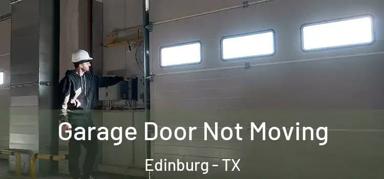  Garage Door Not Moving Edinburg - TX