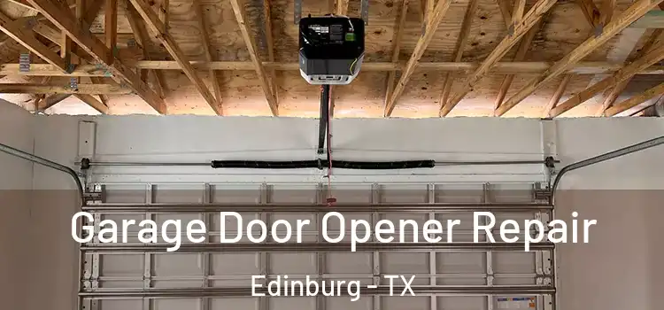  Garage Door Opener Repair Edinburg - TX