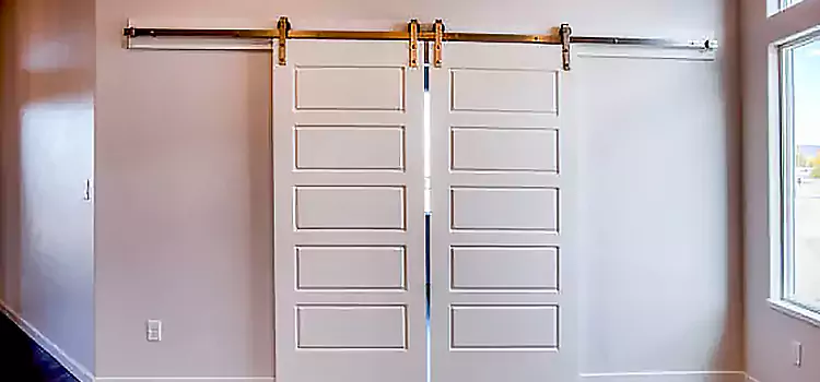 Glass Barn Door with Installation Hardware Kit Edinburg