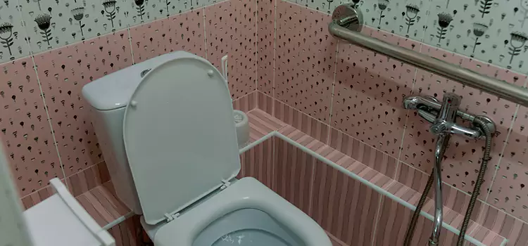 Meeting Diverse Needs With Accessible Restroom Solutions in Edinburg, TX